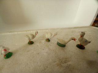 PASTORI PRESEPE OCHE