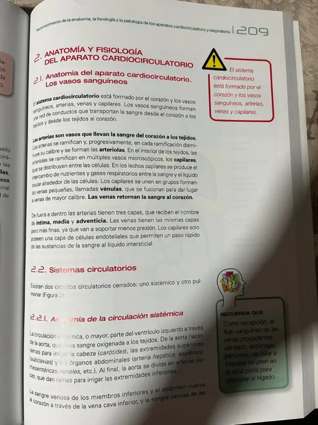 Anatomía por la imagen (Spanish Edition)