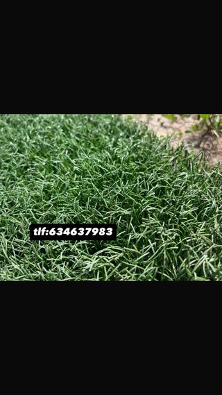 Césped artificial reciclado