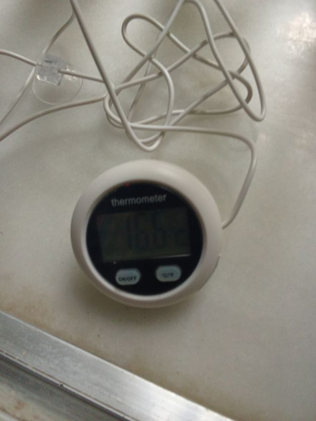 Termómetro magnético para acuario