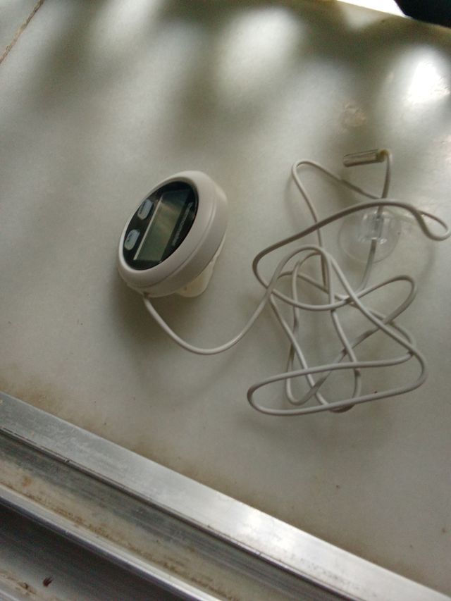 Termómetro magnético para acuario