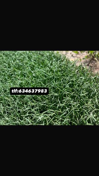 Césped artificial reciclado