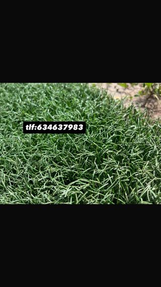 Césped artificial reciclado