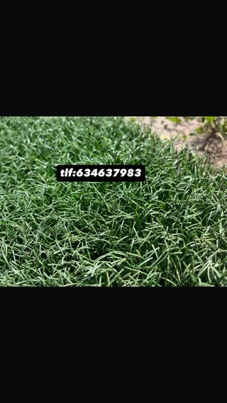 Césped artificial reciclado