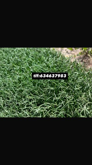 Césped artificial reciclado