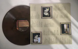 THE ORGAN, Grab That Gun y Thieves, Vinilo 20th