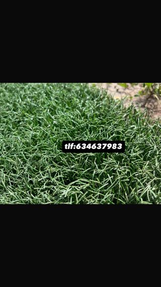 Césped artificial reciclado