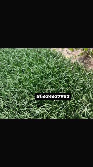 Césped artificial reciclado