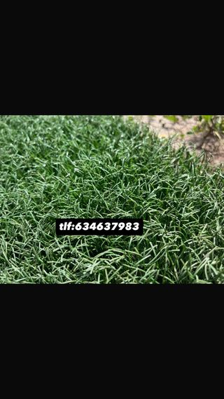 Césped Artificial Reciclado