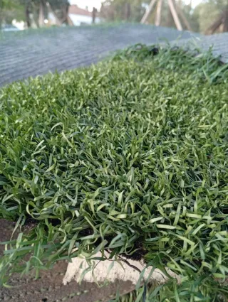 Césped artificial reciclado