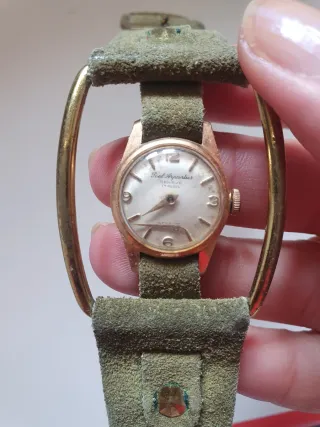 Orologio Paul Arpenter Geneve 17 Rubis vintage