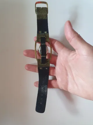 Orologio Paul Arpenter Geneve 17 Rubis vintage