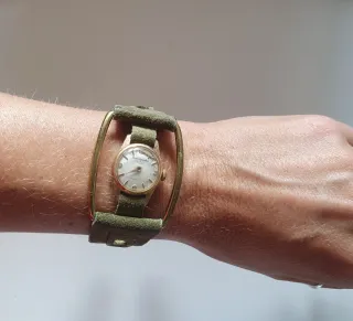 Orologio Paul Arpenter Geneve 17 Rubis vintage