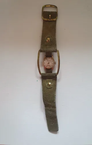 Orologio Paul Arpenter Geneve 17 Rubis vintage