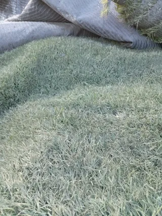 Césped artificial reciclado