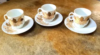 Tazzine Richard Ginori con piattini