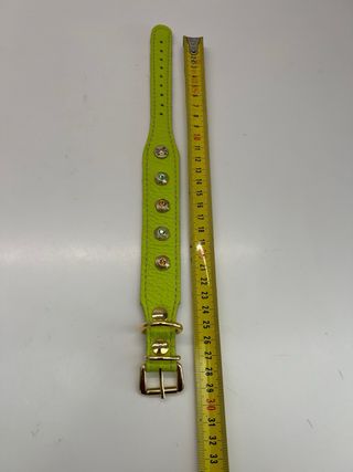 Rich Dog Collare per cane con borchie