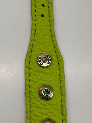 Rich Dog Collare per cane con borchie