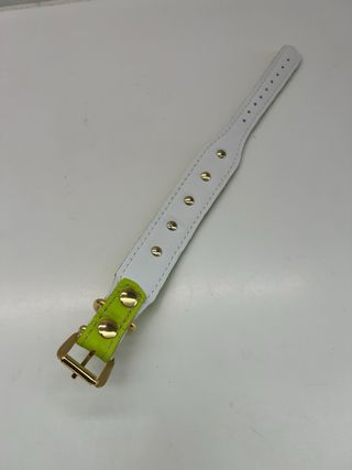 Rich Dog Collare per cane con borchie