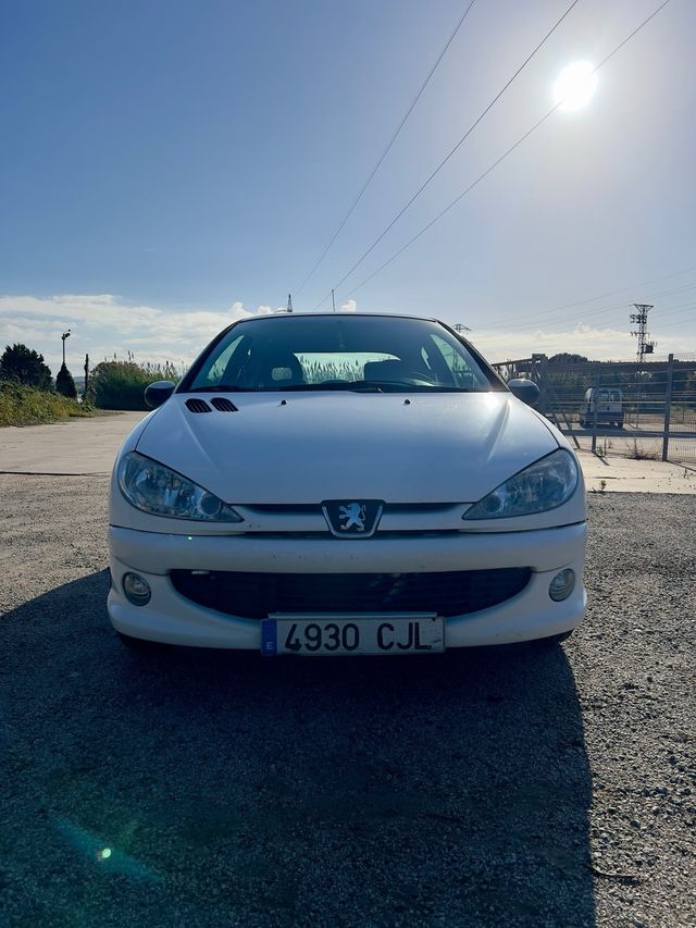 Peugeot 206 1.6 16v XS 110cv