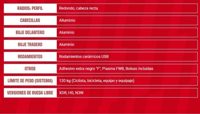 Ruedas Fulcrum Speed 25 Carbono