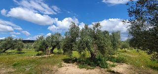 Terreno en venta en Bailén