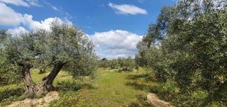 Terreno en venta en Bailén