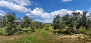 Terreno en venta en Bailén