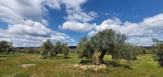 Terreno en venta en Bailén