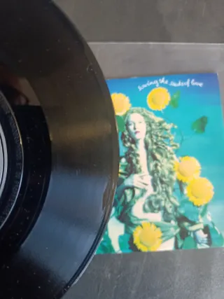 Tears For Fears: lote de 2 singles