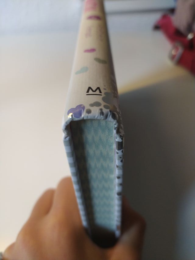 Misterio en el internado (La diversión de Marti...