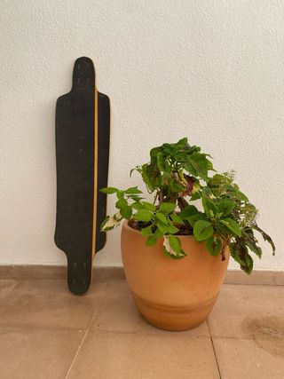 NUEVA Tabla Longboard Lush Elevator