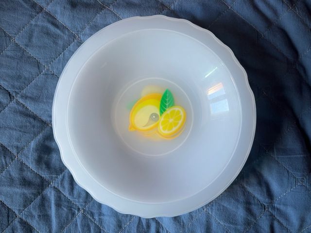 Set 16 piatti (8 piani, 8 fondi) in plastica dura