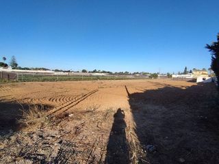 Terreno en venta en La Jara en Sanlúcar de Barrameda