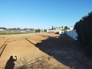 Terreno en venta en La Jara en Sanlúcar de Barrameda