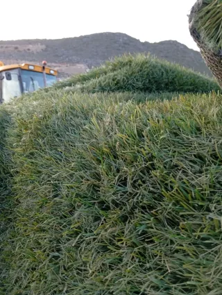 Césped artificial reciclado