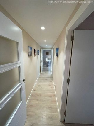 Piso en alquiler en Campos