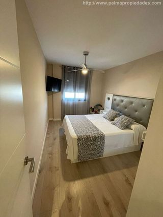 Piso en alquiler en Campos