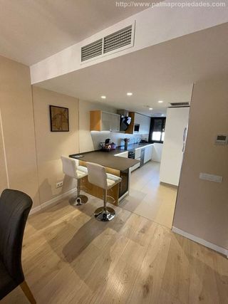 Piso en alquiler en Campos