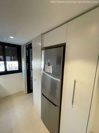 Piso en alquiler en Campos