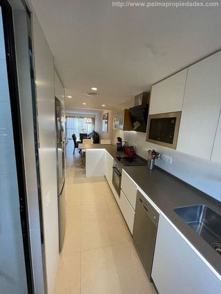 Piso en alquiler en Campos