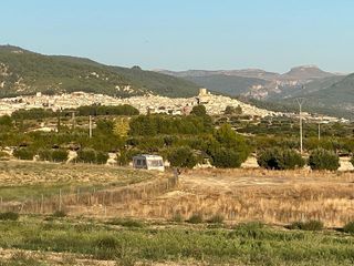 Solar en venta en Moratalla