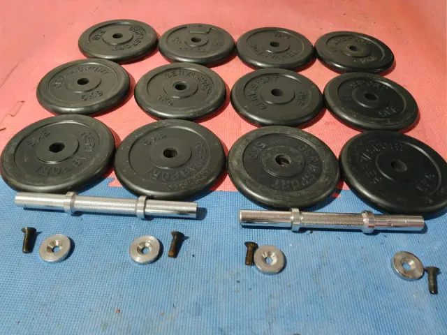 MANCUERNAS PRO DISCOS GOMA GERVASPORT 66KG