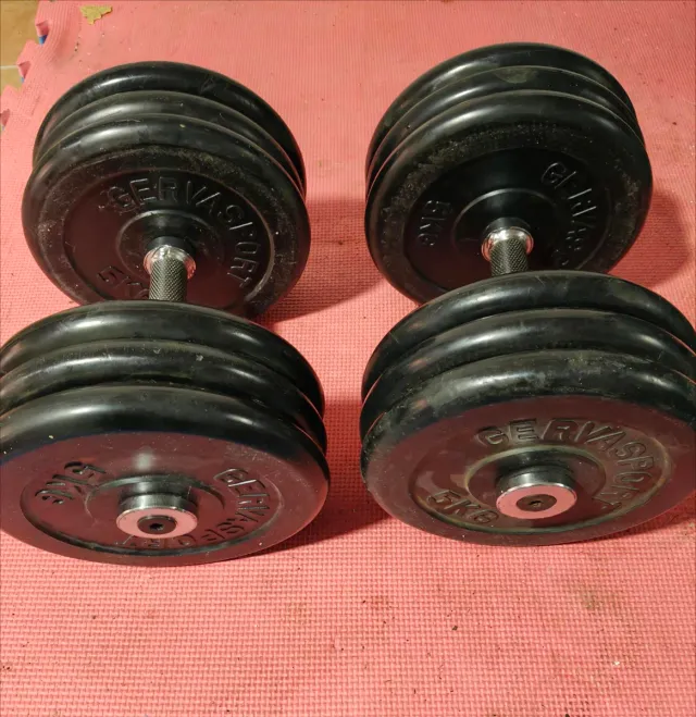 MANCUERNAS PRO DISCOS GOMA GERVASPORT 66KG
