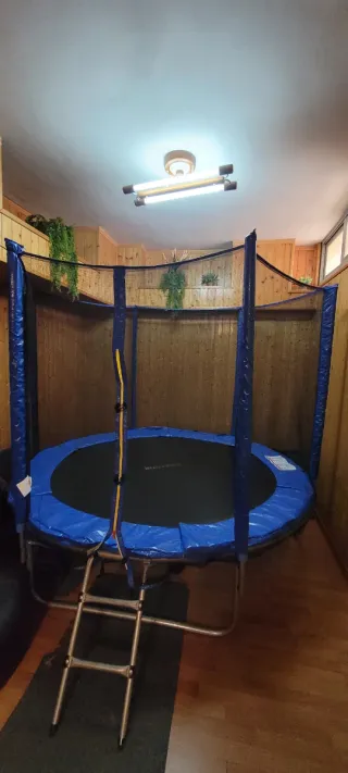 Cama elástica redonda 2,4m de diámetro.