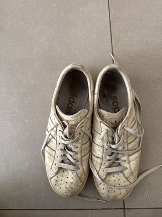 Adidas Earlham Oro Bianco