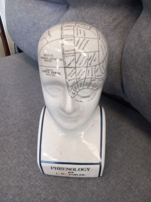 Figura Diseño Toscano Phrenology Fowler