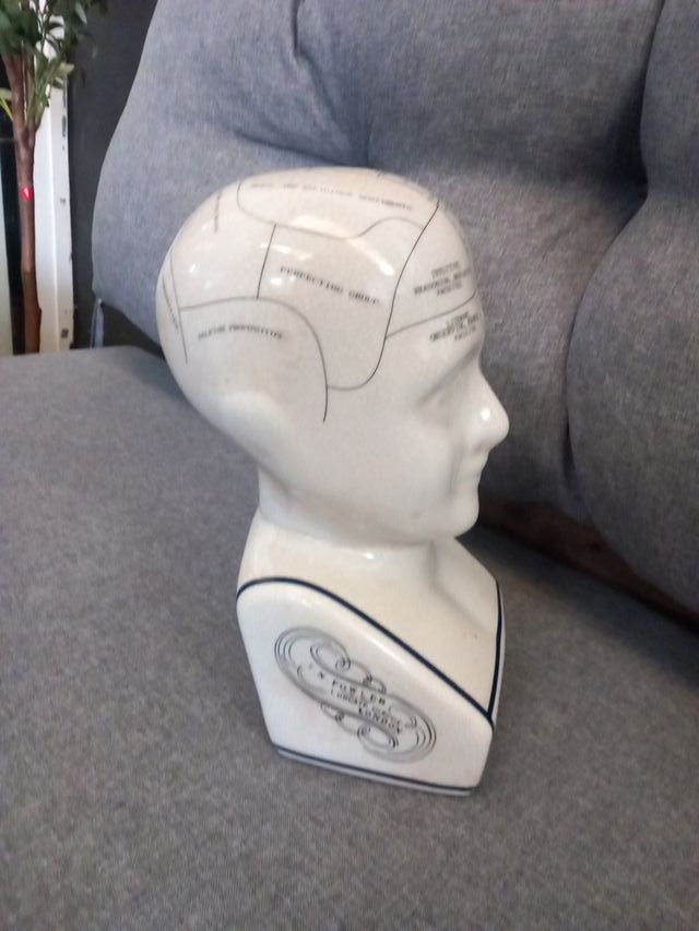 Figura Diseño Toscano Phrenology Fowler