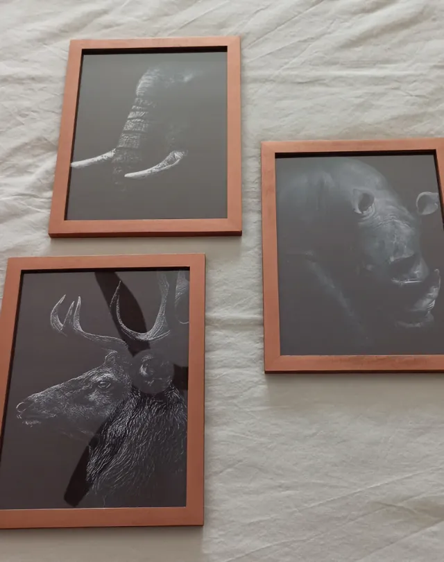 Set 3 Cuadros Animales (Elefante, Rinoceronte, Cie