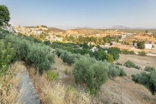 Solar en venta en Iznalloz